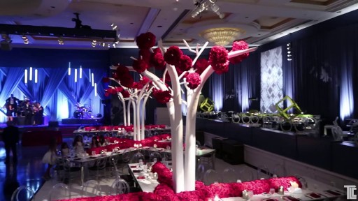LED TUBES Light FX Ideas for Events